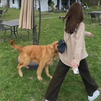 种子